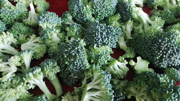 brocoli o arbolitos