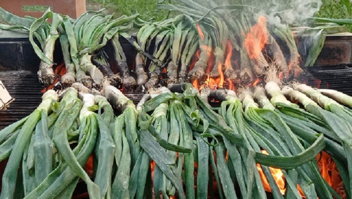 Calçots en la brasa