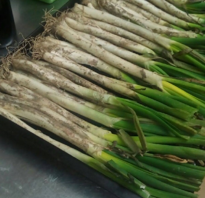 Calçots preparados para cocinar