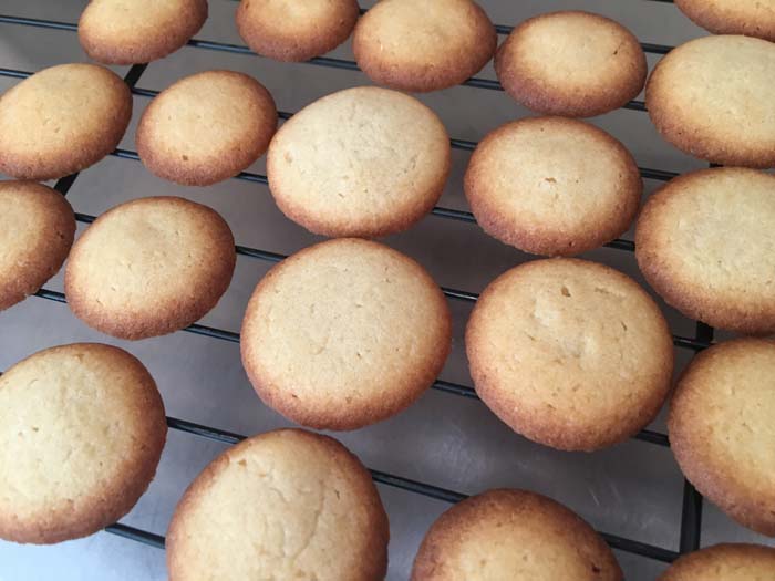 galletitas de vainilla sobre rejilla de horno